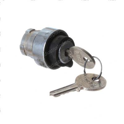 Picture of Switch Keyswitch 2-Pos