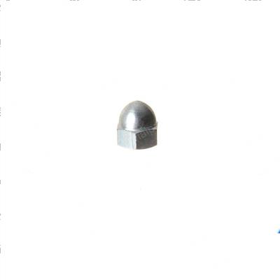 Picture of Nut