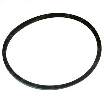 Picture of Belt