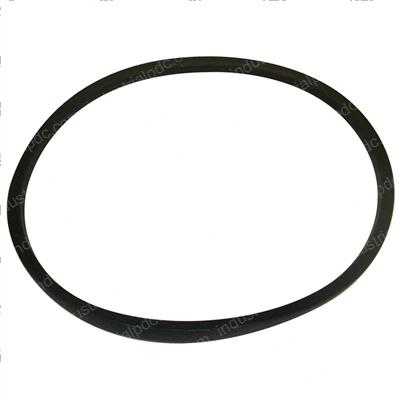 Picture of Belt