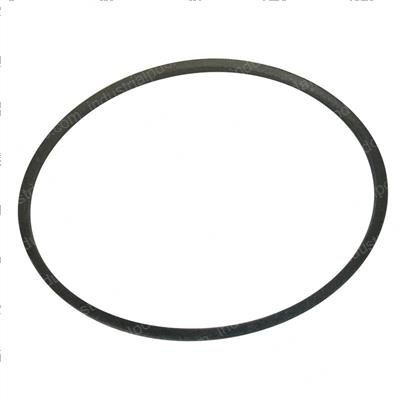 Picture of Belt