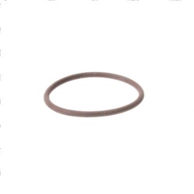 Picture of O-Ring