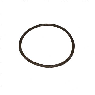Picture of O-Ring