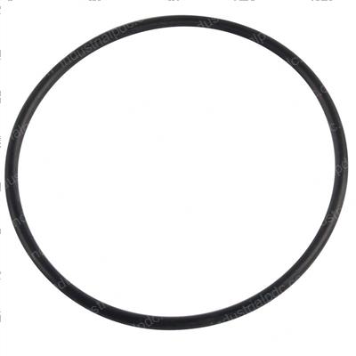 Picture of O-Ring
