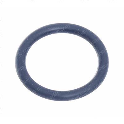 Picture of O-Ring-Injector