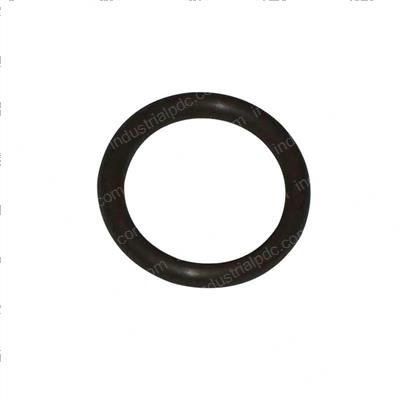 Picture of O-Ring