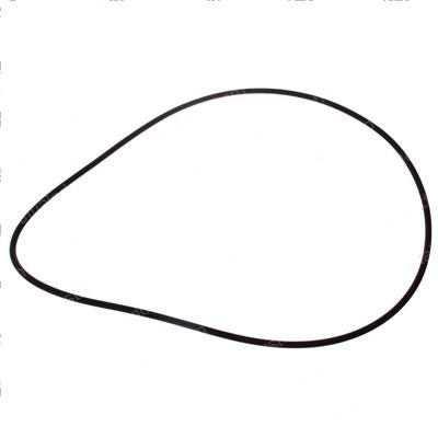 Picture of Seal