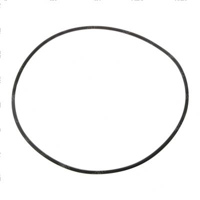 Picture of O-Ring
