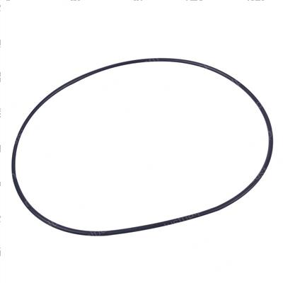 Picture of O-Ring