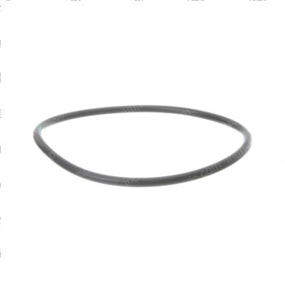Picture of O-Ring