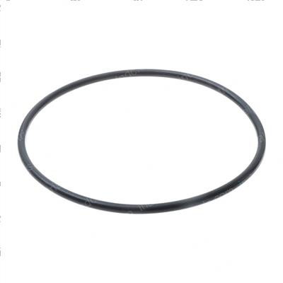 Picture of O-Ring