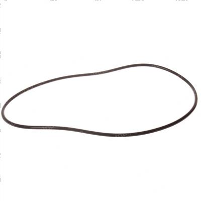 Picture of O-Ring