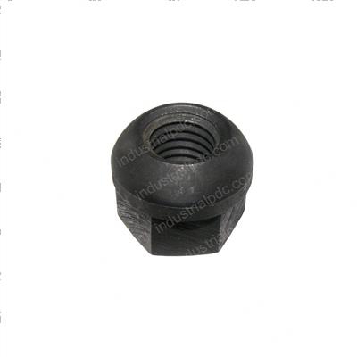 Picture of Nut