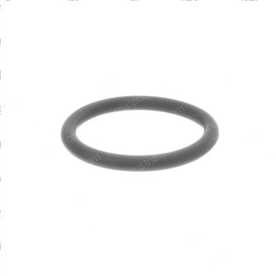 Picture of O-Ring