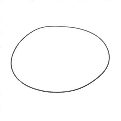 Picture of O-Ring
