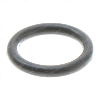 Picture of O-Ring