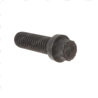 Picture of Screw-Twelve