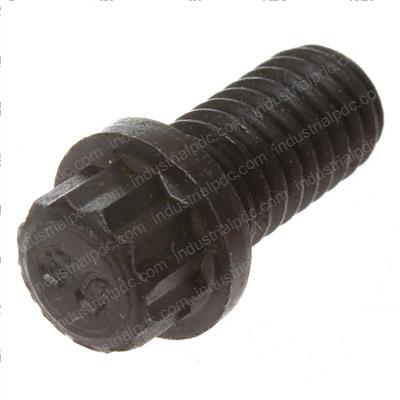Picture of Bolt - 12 Point