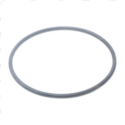 Picture of O-Ring Gasket