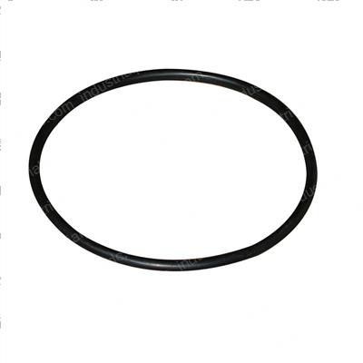 Picture of O-Ring