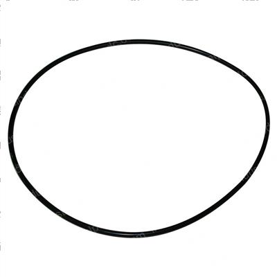 Picture of O-Ring