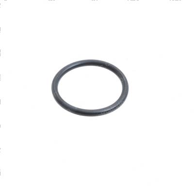 Picture of O-Ring