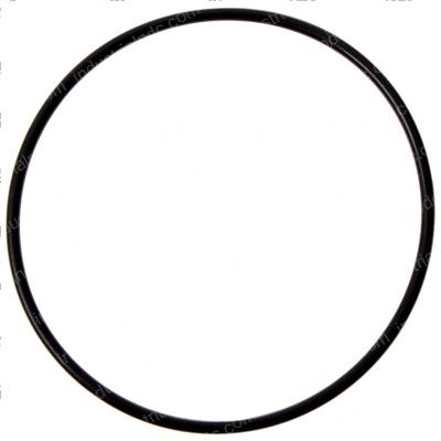 Picture of O-Ring