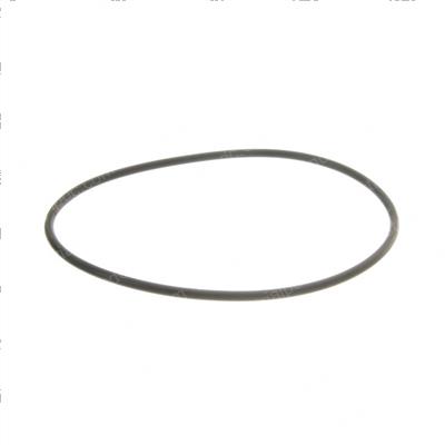 Picture of O-Ring