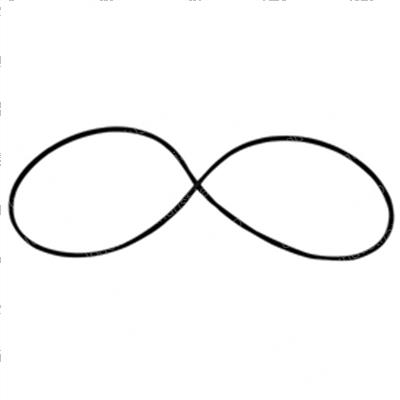 Picture of O-Ring