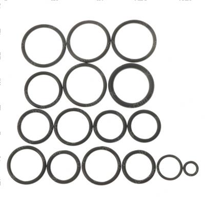 Picture of O-Ring Kit