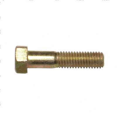 Picture of Bolt