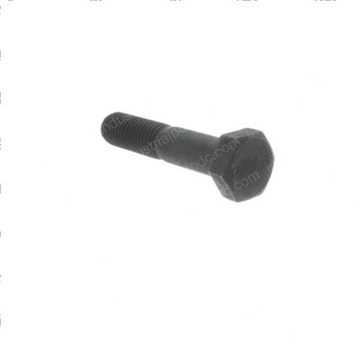 Picture of Bolt