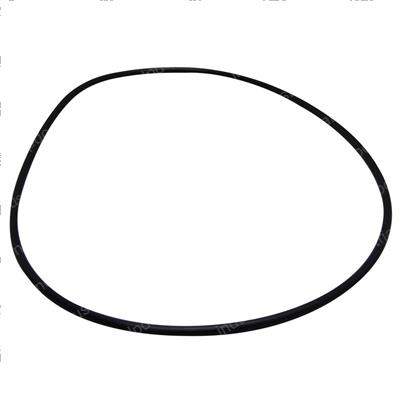 Picture of O-Ring