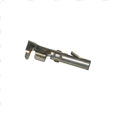 Picture of Female T
