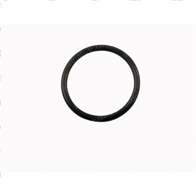 Picture of O-Ring