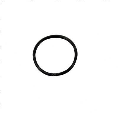 Picture of O-Ring