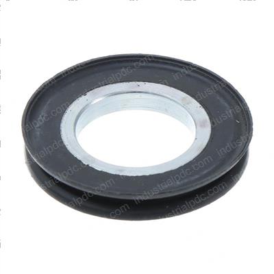 Picture of Seal - Special