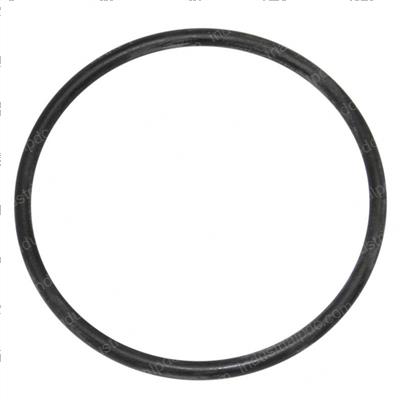 Picture of O-Ring