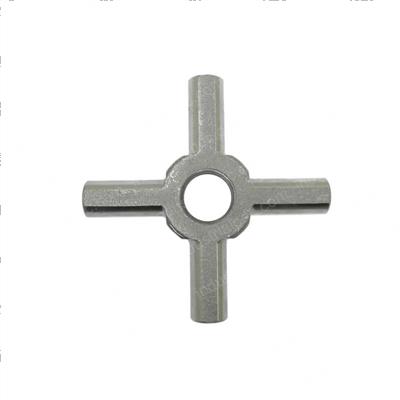 Picture of Spider