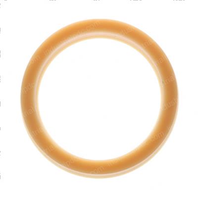 Picture of Seal