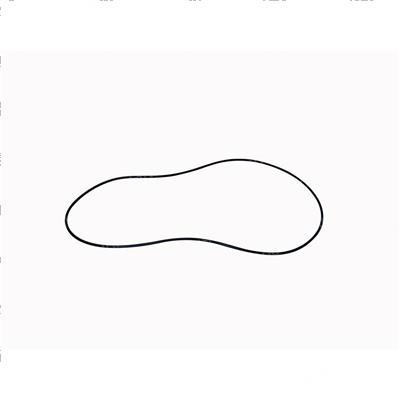 Picture of O-Ring