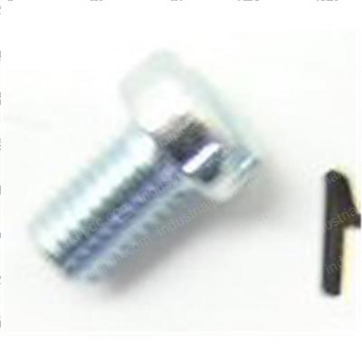 Picture of Plug - Filler