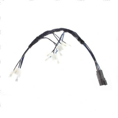 Picture of Harness