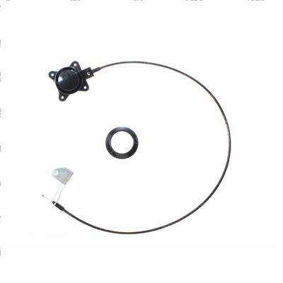 Picture of Button Assembly