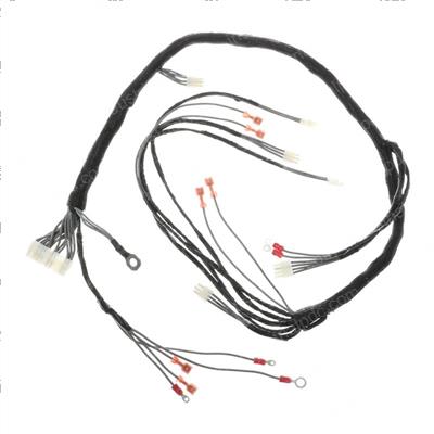 Picture of Wire Harness-Main