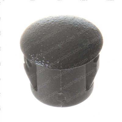 Picture of Plug