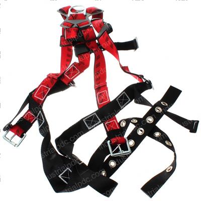 Picture of Body Harness