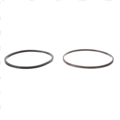 Picture of Seal
