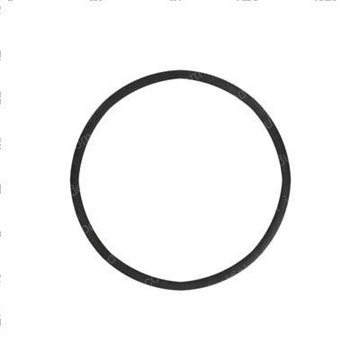 Picture of O-Ring