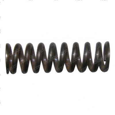 Picture of Spring - Hydraulic Unit